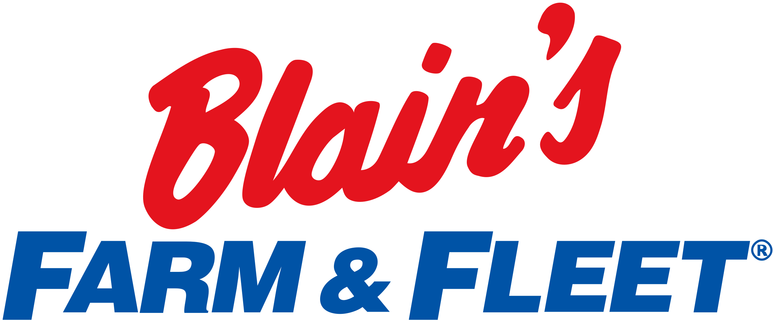 Blain's Farm & Fleet